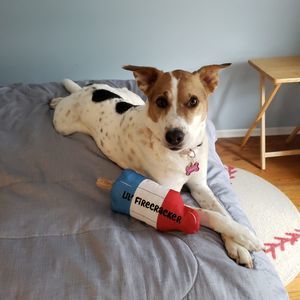 Meet your Posher, Louise